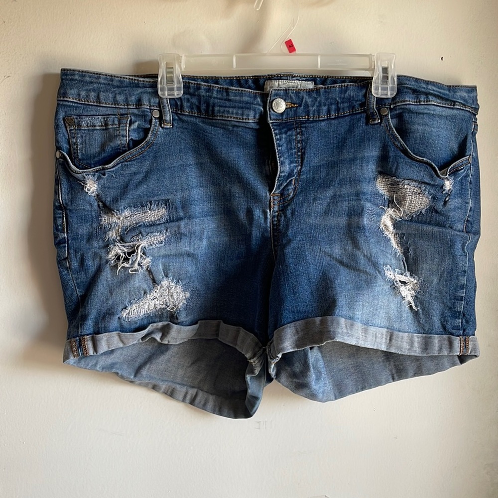 Torrid Shorts